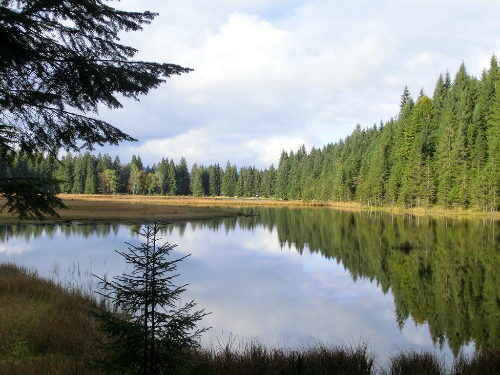 Pension Arberwald Bayerisch Eisenstein Exteriér fotografie